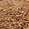 Torrified Wheat LB