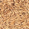 Malted Oats (with HUSKS), OZ
