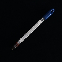 Floating Glass Thermometer