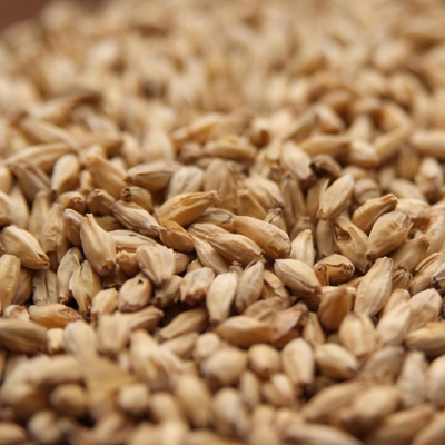 6Row Malt, Rahr OZ