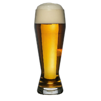 Extract Kit: Kool Down Kolsch (Light German Ale)