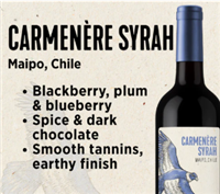 Vineco Carmenere Syrah Tinto Fuego Wine Kit