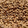 Crystal 120L (Caramel Malt), Briess LB