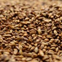 Crystal 80L (Caramel Malt), Briess OZ