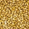 Crystal British 45L (Caramel Malt), Simpsons LB