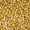 Crystal British 45L (Caramel Malt), Simpsons OZ