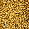 Crystal British 60L (Medium Caramel Malt), Simpsons OZ