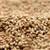 Chit Malt,  LB