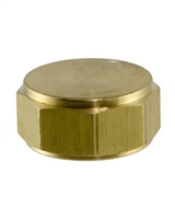 Garden Hose Adapter, Brass, FGHT Cap