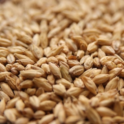 Pale Ale Malt, Briess OZ