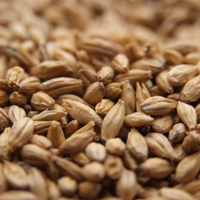 Aromatic Malt, Dingemans LB