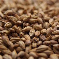 Biscuit Malt, Dingemans LB