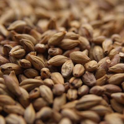 Biscuit Malt, Dingemans OZ