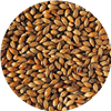 Brown Malt (40L), Simpsons OZ