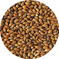 Brown Malt (40L), Simpsons OZ