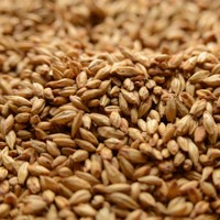 Cherry Smoked Malt, Briess LB