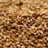 Cherry Smoked Malt, Briess OZ