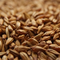 Crystal 10L (Caramel Malt), Briess LB (similar to CaraHell)