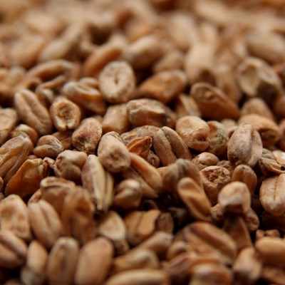 Dark Wheat, Weyermann OZ