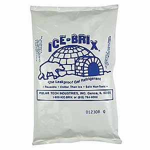 Ice Pack for Yeast Shipping