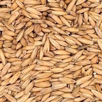 Malted Oats (with HUSKS), OZ
