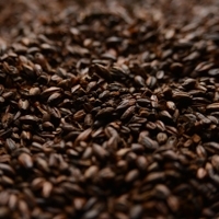 Roasted Barley (300L), Briess LB