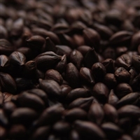 Roasted Barley (DARK 550L), Simpsons OZ