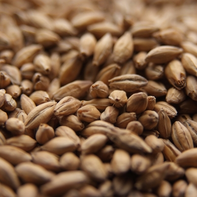 Spelt Malt, Weyermann LB